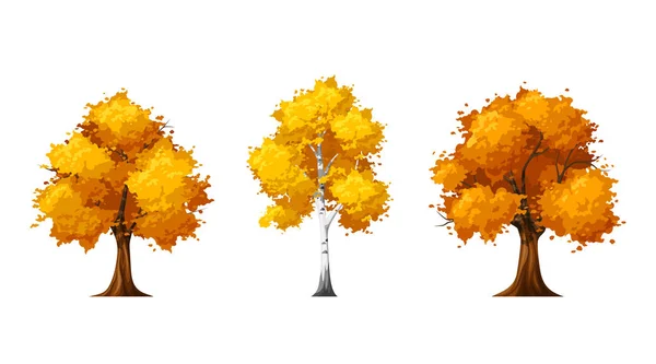 Vector Set Autumn Deciduous Trees Isolated White Background — Stock Vector
