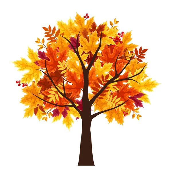 Vektorový Abstraktní Podzimní Strom Izolovaný Bílém Pozadí — Stockový vektor