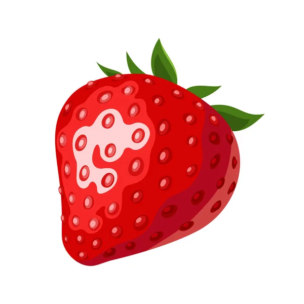 在白色背景上分离的成熟红草莓的向量图 — 图库矢量图片