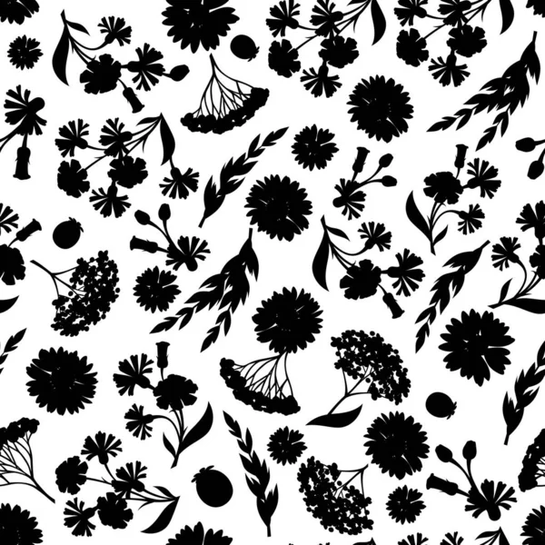 Vector Seamless Black White Floral Pattern Flowers — Stock Vector