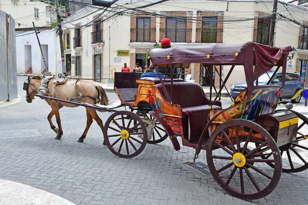 Santo Domingo Dominik Cumhuriyeti Mayıs 2017 Heykel Pitoresk Sömürge Bölgesinde — Stok fotoğraf