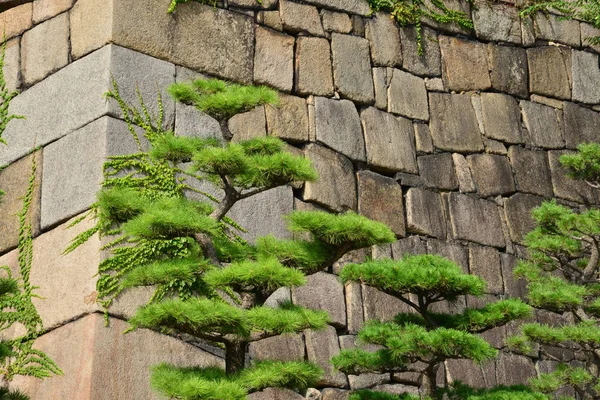 Osaka Japón Agosto 2017 Castillo Histórico —  Fotos de Stock