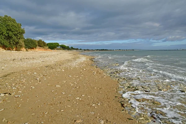 Rivedoux Plage Franciaország November 2017 West Coast Beach — Stock Fotó