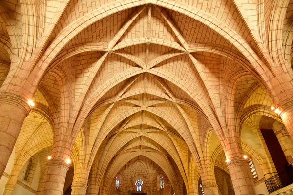 Santo Domingo Repubblica Dominicana Maggio 2017 Cattedrale — Foto Stock