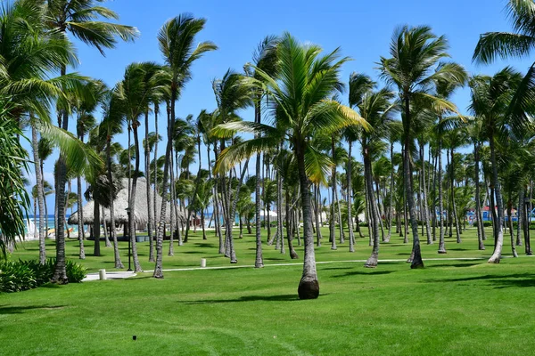 Punta Cana Dominikanische Republik Juni 2017 Ein Hotel — Stockfoto