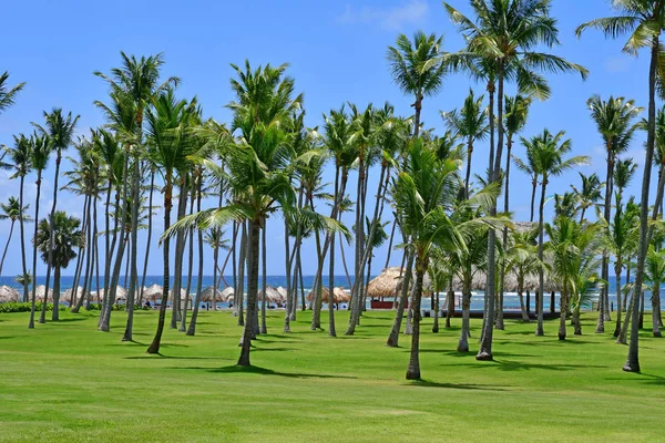 Punta Cana República Dominicana Junio 2017 Hotel — Foto de Stock