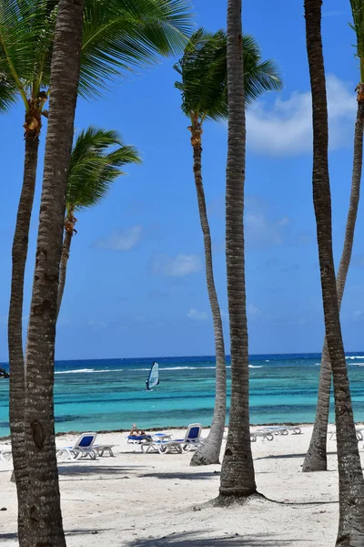 Punta Cana Dominikanska Republiken Juni 2017 Beach — Stockfoto