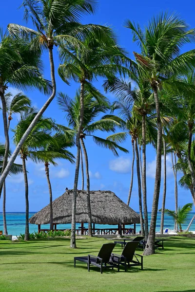 Punta Cana República Dominicana Junho 2017 Hotel — Fotografia de Stock