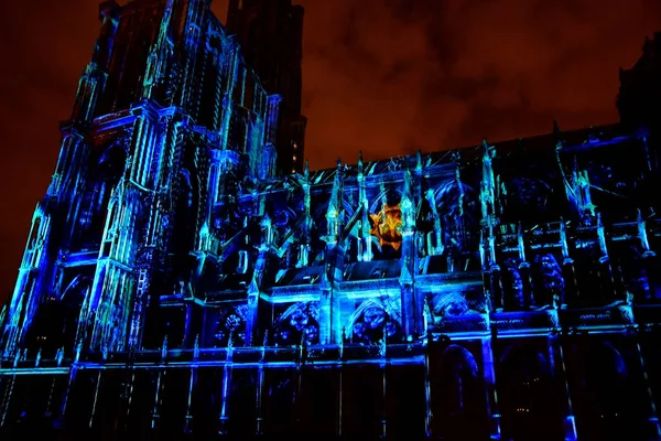 Strasbourg France Juillet 2016 Son Lumière Cathédrale Notre Dame — Photo