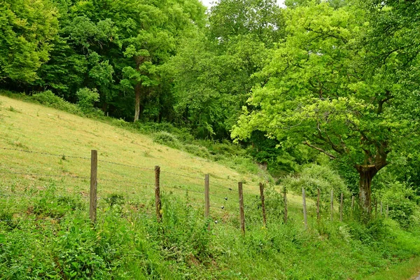 Lisors Francia Junio 2017 Paisaje Rural — Foto de Stock