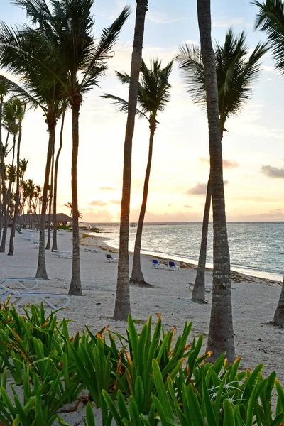 Punta Cana Dominican Republic May 2017 Beach Hotel — Stock Photo, Image