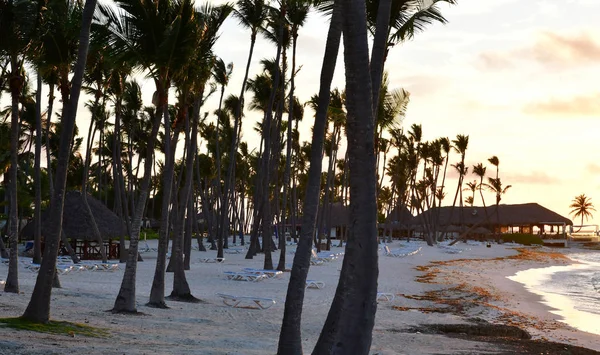 Πούντα Κάνα Δομινικανή Δημοκρατία Μαΐου 2017 Παραλία Ενός Ξενοδοχείου — Φωτογραφία Αρχείου