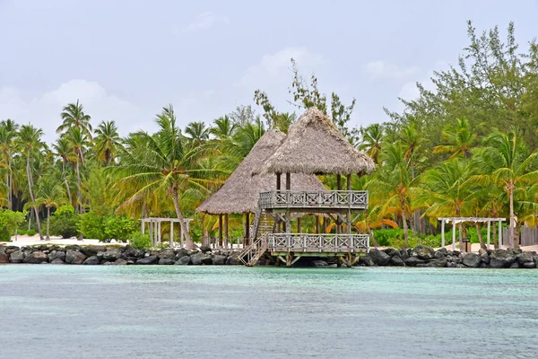 Punta Cana República Dominicana Maio 2017 Litoral — Fotografia de Stock