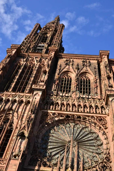 Estrasburgo França Julho 2017 Catedral — Fotografia de Stock