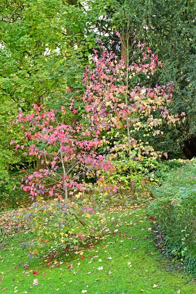 Port Marly Francia Novembre 2017 Pittoresco Castello Alexandre Dumas Monte — Foto Stock