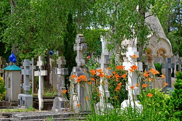 Sainte Genevieve Des Bois Frankrike Juni Den Ryska Kyrkogården — Stockfoto