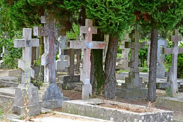 Sainte Genevieve Des Bois Frankrike Juni Den Ryska Kyrkogården — Stockfoto