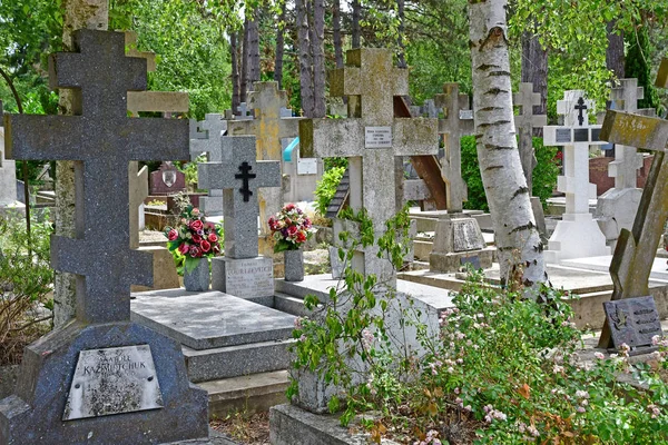 Sainte Genevieve Des Bois Francia Junio Cementerio Ruso —  Fotos de Stock