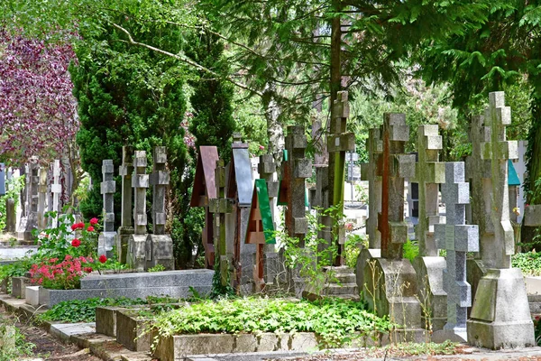 Sainte Genevieve Des Bois Γαλλία Ιουνίου Ρωσικό Νεκροταφείο — Φωτογραφία Αρχείου