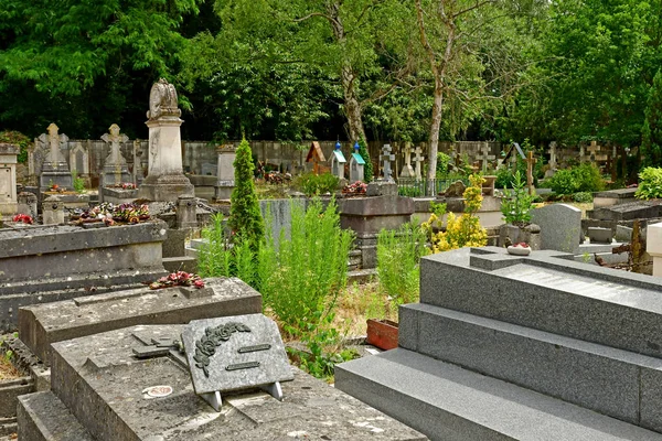 Sainte Genevieve Des Bois Fransa Haziran Rus Mezarlığı — Stok fotoğraf