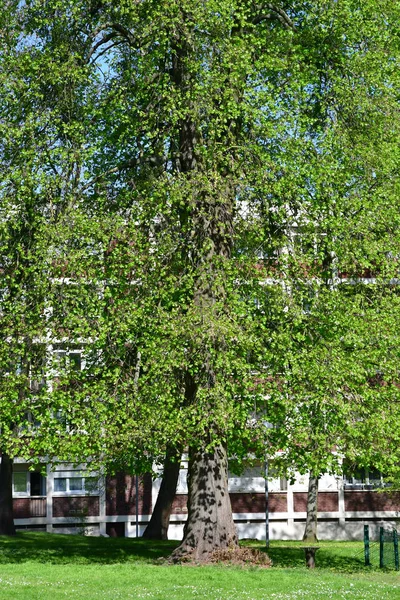 Verneuil Sur Seine Frankrike April 2017 Pittoreska Centrum — Stockfoto