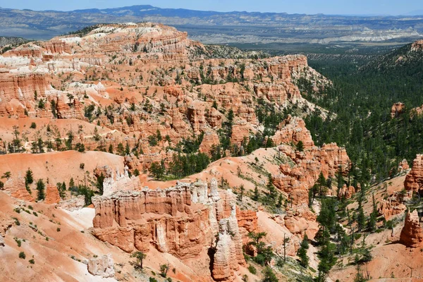 Bryce Canyon Eua Julho 2016 Parque Nacional — Fotografia de Stock