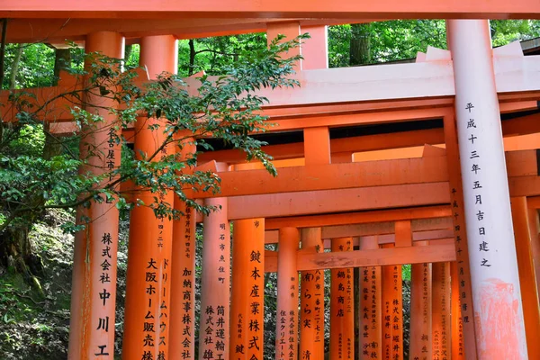 Kyoto Japón Agosto 2017 Santuario Fushimi Inari Taisha — Foto de Stock