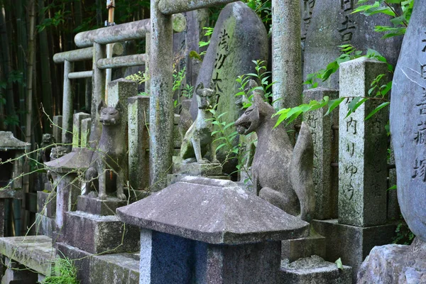 Kyoto Japón Agosto 2017 Santuario Fushimi Inari Taisha — Foto de Stock