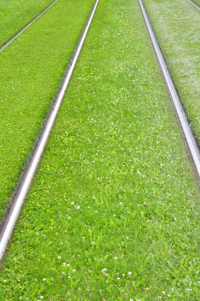 Estrasburgo Francia Julio 2016 Ferrocarril Cubierto Césped — Foto de Stock