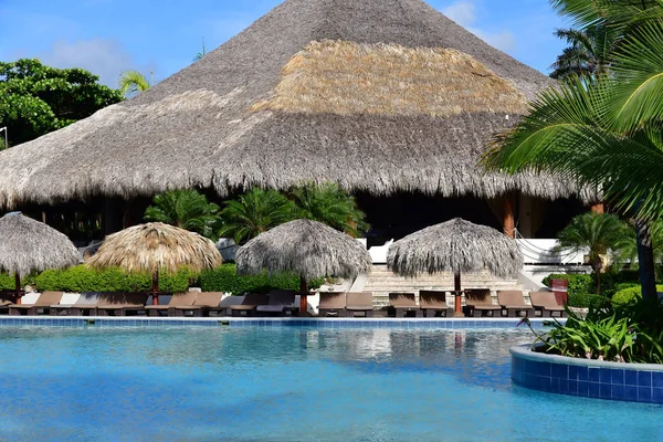 Punta Cana Dominik Cumhuriyeti Mayıs 2017 Bir Otel Havuzunda — Stok fotoğraf