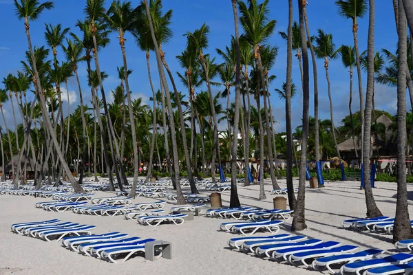 Punta Cana Dominikai Köztársaság Május 2017 Beach Szálloda — Stock Fotó