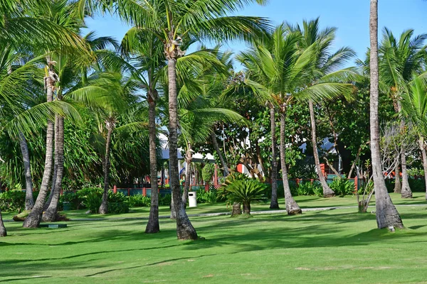 Punta Cana Dominikánská Republika Květen 2017 Zahrada Hotelu — Stock fotografie