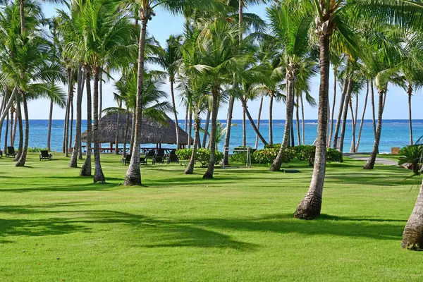 Punta Cana Dominicaanse Republiek Mei 2017 Tuin Van Een Hotel — Stockfoto