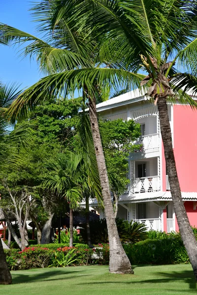 Punta Cana République Dominicaine Mai 2017 Jardin Hôtel — Photo