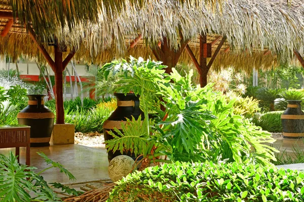 Punta Cana Dominik Cumhuriyeti Mayıs 2017 Bir Otelin Bahçe — Stok fotoğraf