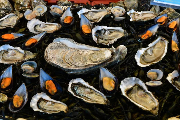 Pornichet Frankrijk April 2017 Oesters Overdekte Markt Het Voorjaar — Stockfoto