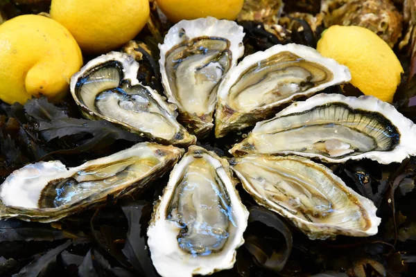 Pornichet França Abril 2017 Ostras Mercado Coberto Primavera — Fotografia de Stock