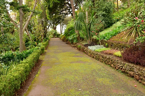 Funchal Portugal Februari 2018 Botaniska Trädgården — Stockfoto