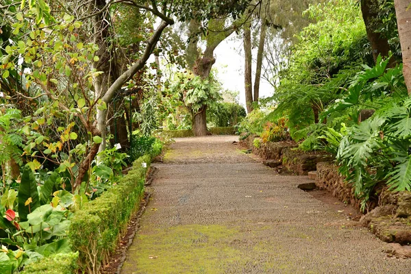 Funchal Portugal February 2018 Botanical Garden — Stock Photo, Image