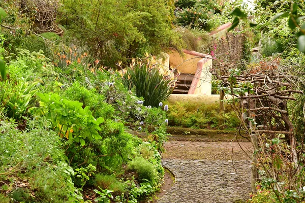 Funchal Portugalia Luty 2018 Ogród Botaniczny — Zdjęcie stockowe