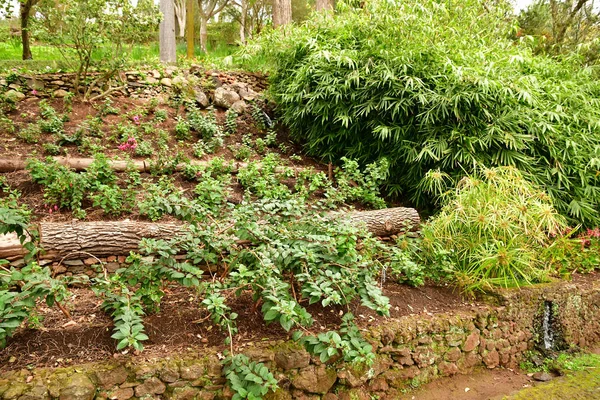 Funchal Portugal Febrero 2018 Jardín Botánico — Foto de Stock