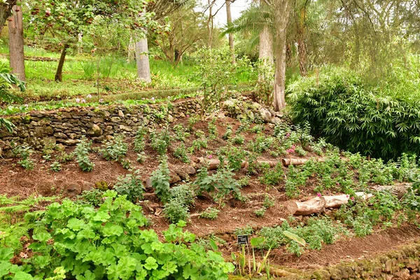 Funchal Portugal Febrero 2018 Jardín Botánico — Foto de Stock