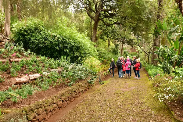 Funchal Portugal Febrero 2018 Jardín Botánico — Foto de Stock