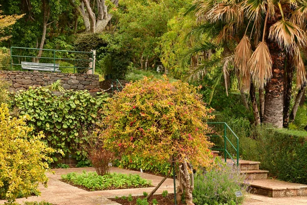 Funchal Portugal Februari 2018 Botaniska Trädgården — Stockfoto