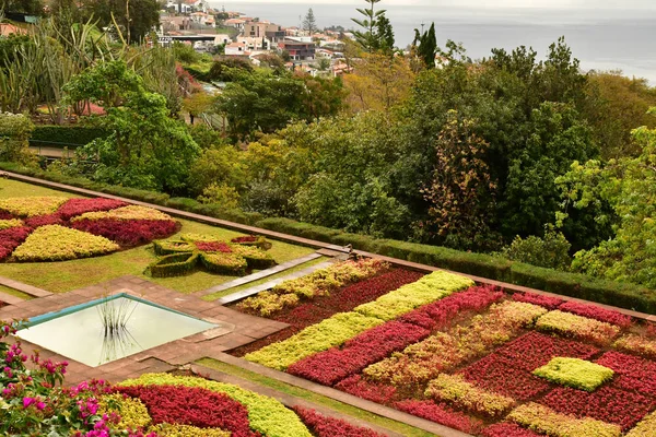 Funchal Portugal Fevereiro 2018 Jardim Botânico — Fotografia de Stock