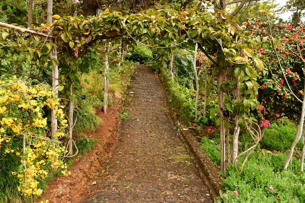 Funchal Portugal Februari 2018 Botaniska Trädgården — Stockfoto