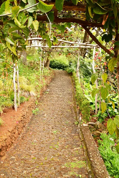 Funchal Portugal Februari 2018 Botaniska Trädgården — Stockfoto