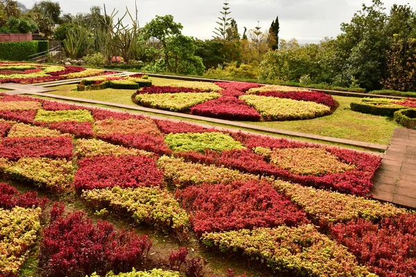 Funchal Portugal Febrero 2018 Jardín Botánico — Foto de Stock