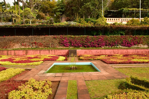 Funchal Portugal February 2018 Botanical Garden — Stock Photo, Image