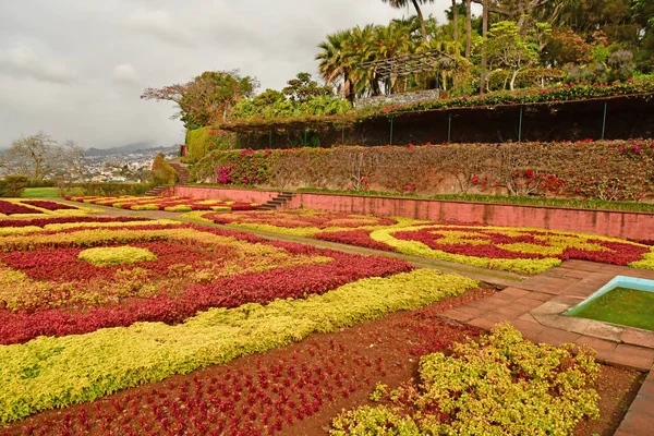 フンシャル ポルトガル 2018 植物園 — ストック写真